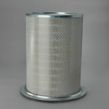 FILTRO PER L'ARIA, SICUREZZA RIF. DONALDSON P625130