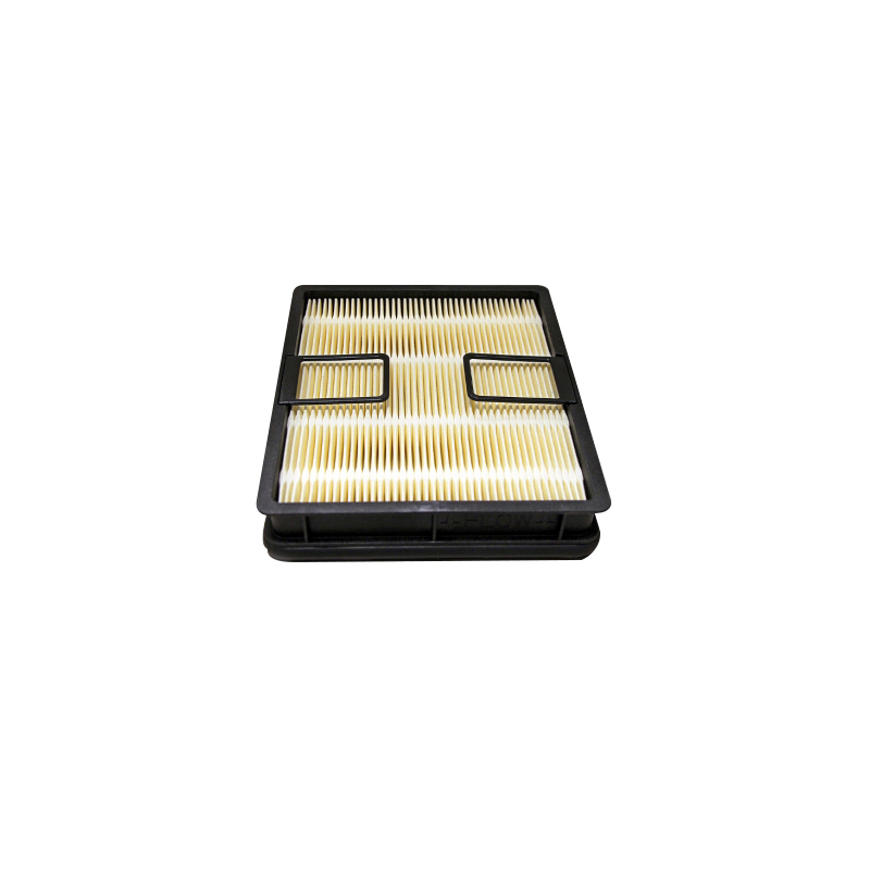 FILTRO DELL'ARIA. DI SICUREZZA  RIF. DONALDSON P638062