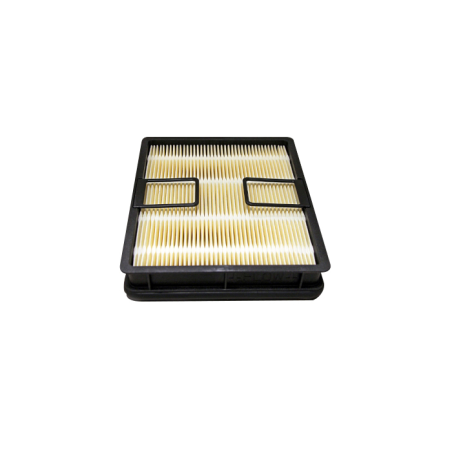 FILTRO DELL'ARIA. DI SICUREZZA  RIF. DONALDSON P638062