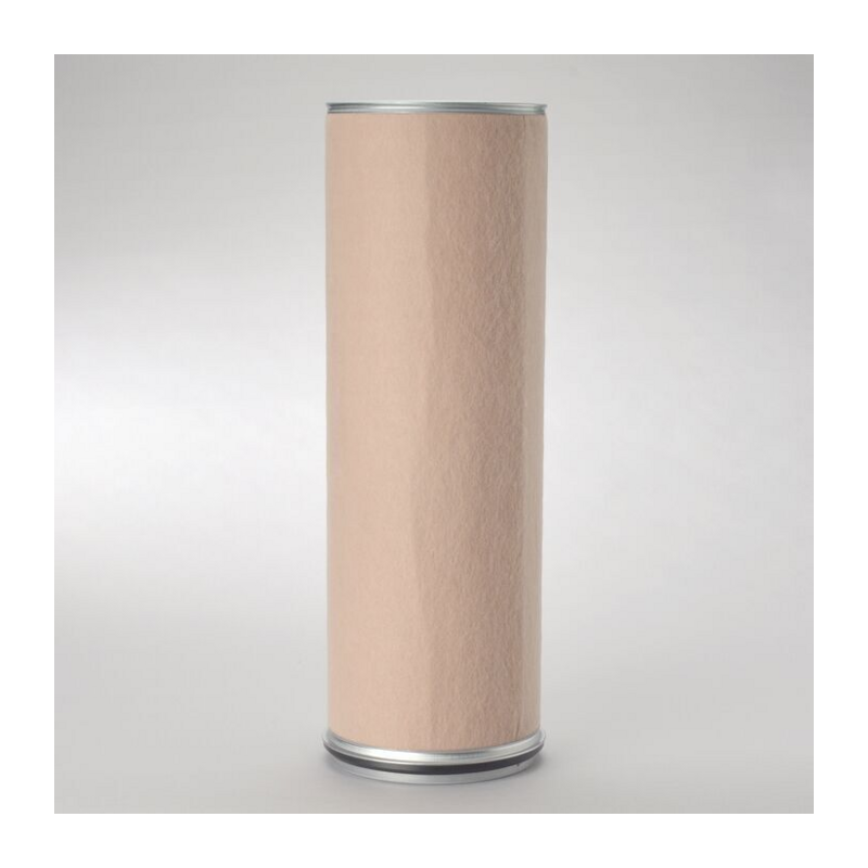 FILTRO PER L'ARIA, SICUREZZA RIF. DONALDSON P781351