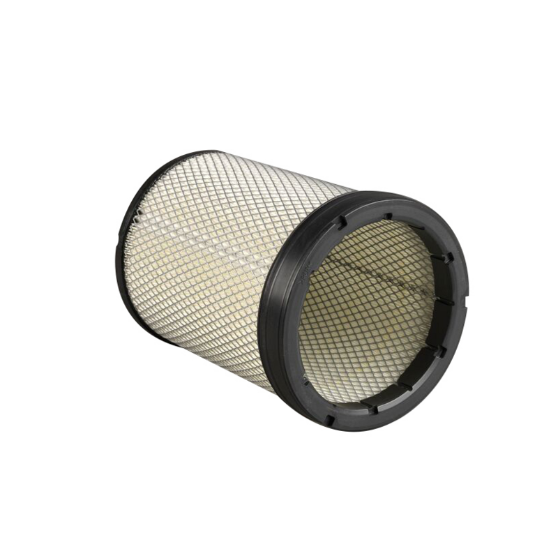 FILTRO PER L'ARIA, SICUREZZA RIF. DONALDSON P786843