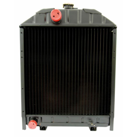 RADIATORE ADATTABILE RIF 3666234M91