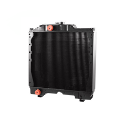 RADIATORE ADATTABILE RIF S5169275