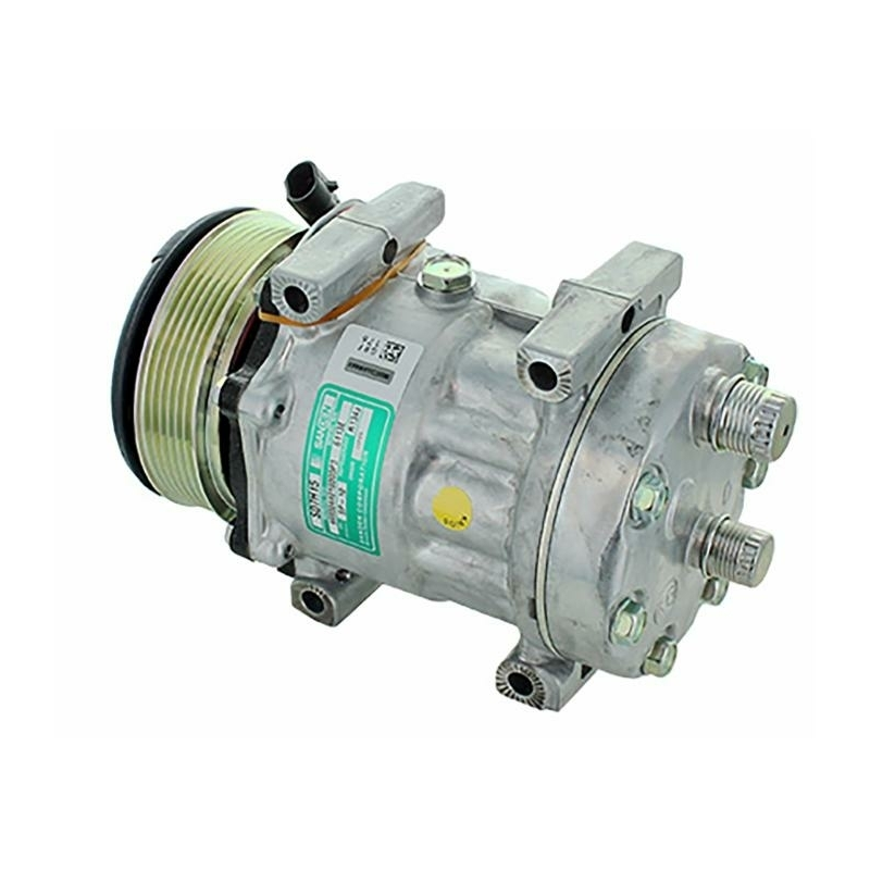 Compressore aria condizionata Sanden 6113