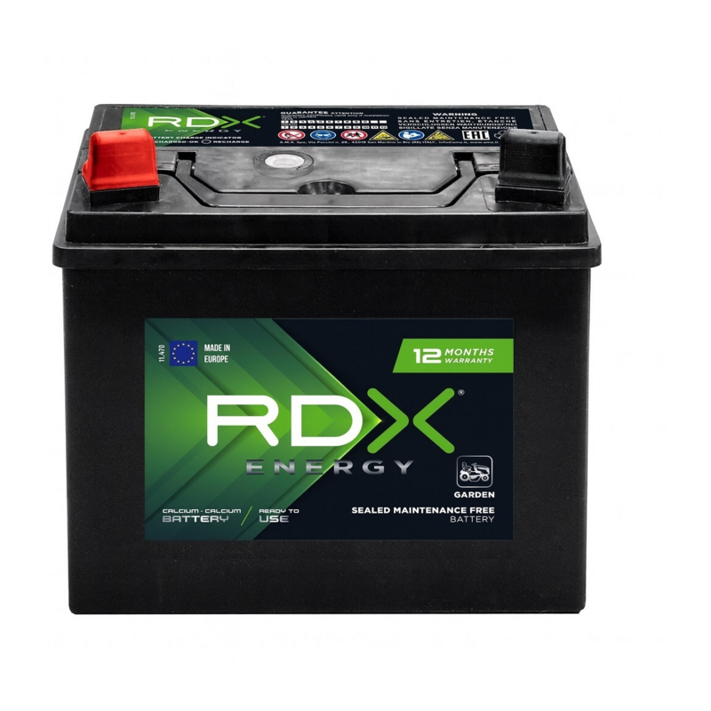 BATT. GARDEN 12V 30AH 350A 196X128X184MM SX
