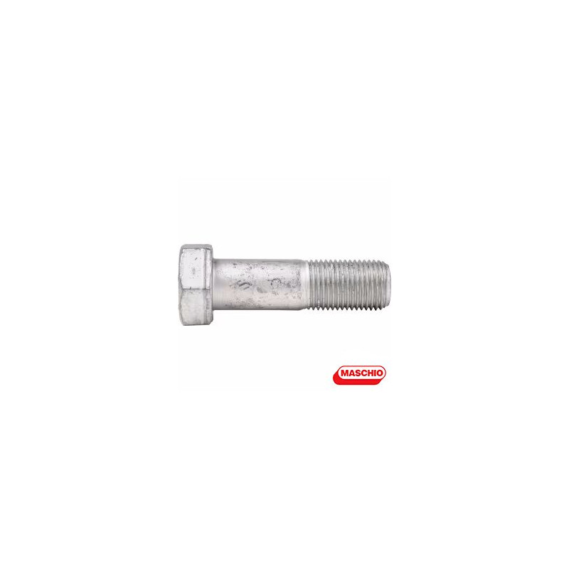 F20110045R	VITE M16X1,5X55