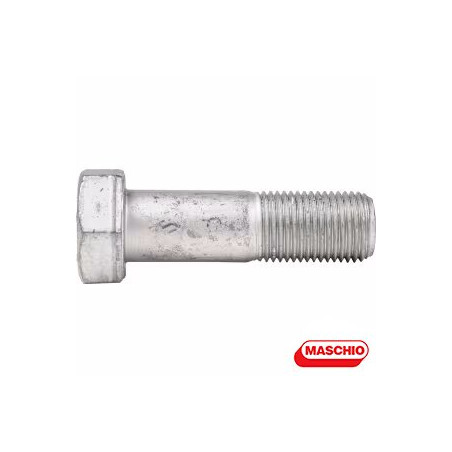 F20110045R	VITE M16X1,5X55
