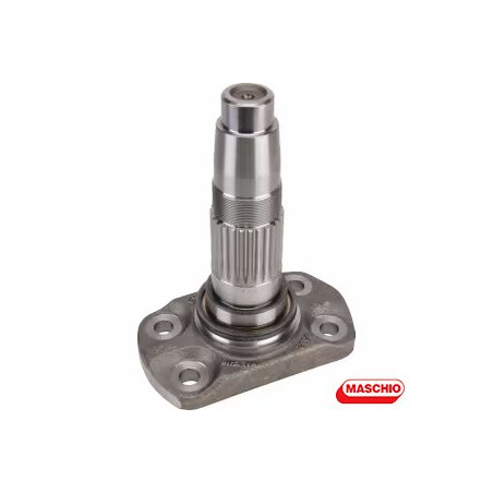 M36100302R	ALBERO ROTORE LATERALE