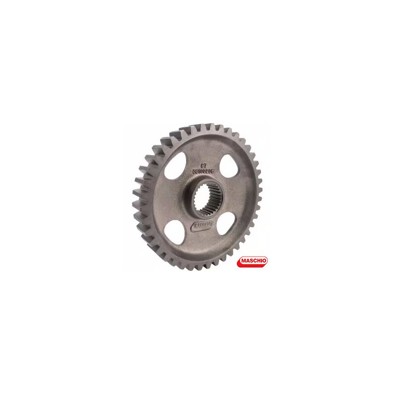M36100206R	INGRANAGGIO CENTRALE DM