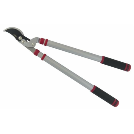 TRONCARAMI PROFESSIONALE CON MANICI TELESCOPICI
