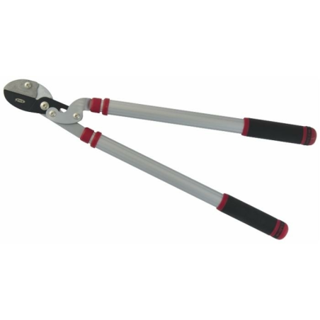 TRONCARAMI PROFESSIONALE CON LAME A BATTENTE E MANICI TELESCOPICI
