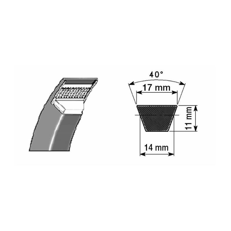 CINGHIA TRAPEZOIDALE B84