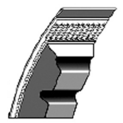 CINGHIA STANDARD AVX10X950