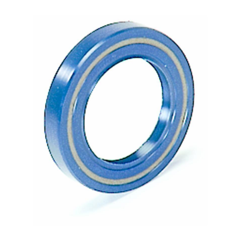 ANELLO BASL 70X100X10