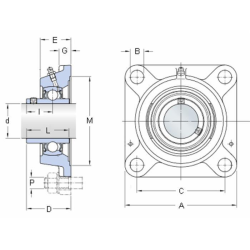 SUPPORTO DRITTO FY 25 TF SKF