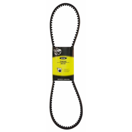 CINGHIA TRAPEZOIDALE BX45