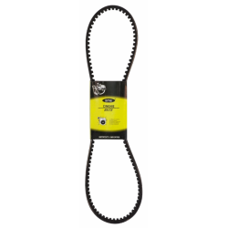 CINGHIA TRAPEZOIDALE BX48