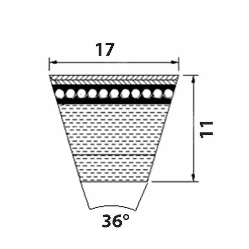 CINGHIA TRAPEZOIDALE BX351