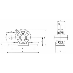 SUPPORTO DRITTO UCP 204 SMART