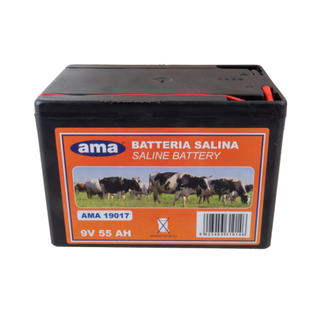 PILA PER RECINTI 9 V, 55 AH