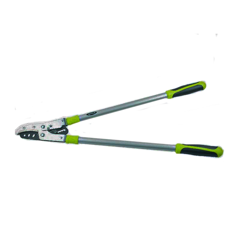 TRONCARAMI HOBBY