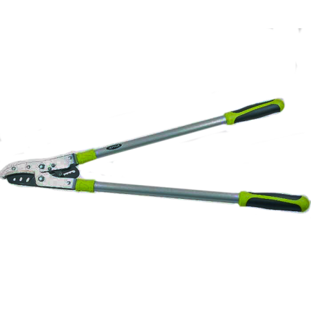 TRONCARAMI HOBBY